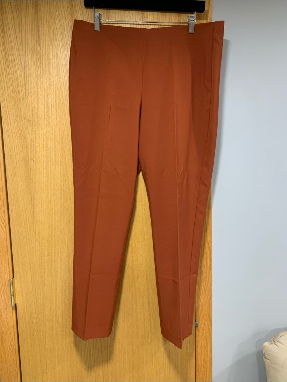 Adrianna Papell Rust-Colored Pull On Pants - Size 14